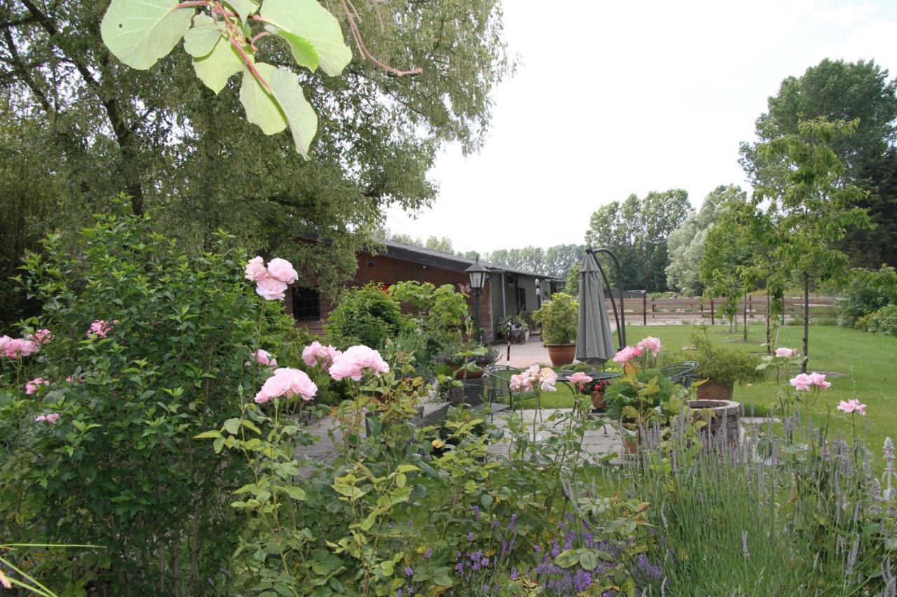 B&B De Rekkendonken Liempde Esterno foto